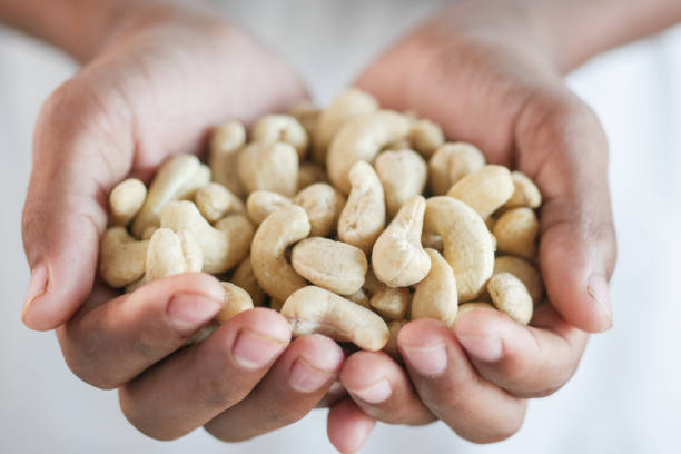 cashew nut on palm of hand close up .
