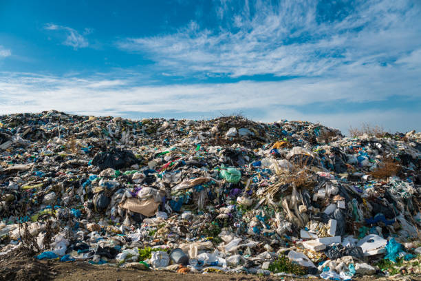 Large garbage pile. Environmental problems.